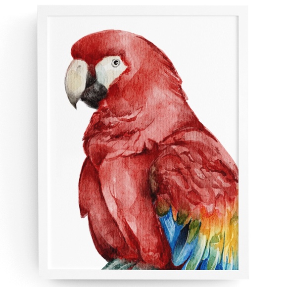 Other - Red Macaw Parrot Bird Watercolor Wall Art Print Poster Unframed
